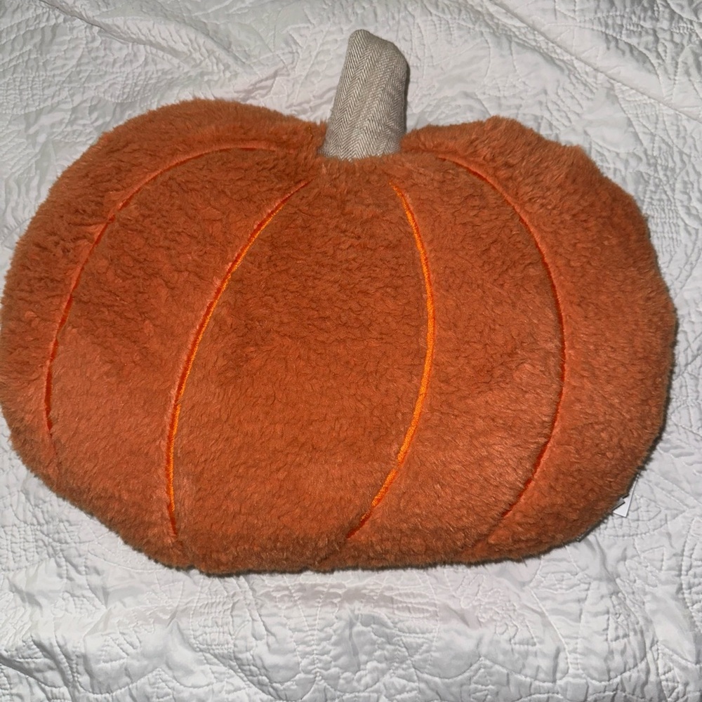 Pumpkin pillow from Marshall’s